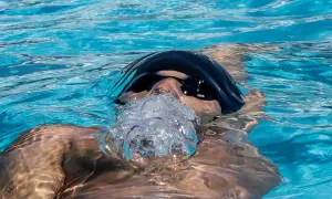 A swimmer exhales bubbles, showing that you can swim with a scraped knee.
