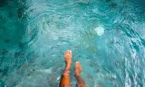 Feet submerged in clear turquoise water, with small fish swimming around. A person wonders if they can swim with a yeast infection.