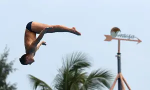 A diver plummets through the air, showcasing how high is a high dive. Palm trees and a weather vane are visible in the background.