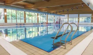 Indoor swimming pool with large windows overlooking trees. Considering private swim lessons cost? This serene setting offers a peaceful learning environment.