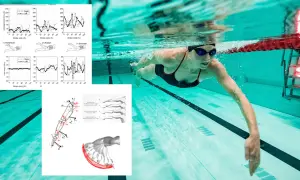 Underwater swimmer in a pool, with graphs showing how many swim strokes are there.