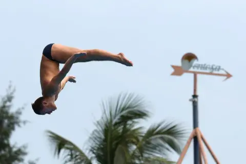 A diver plummets through the air, showcasing how high is a high dive. Palm trees and a weather vane are visible in the background.