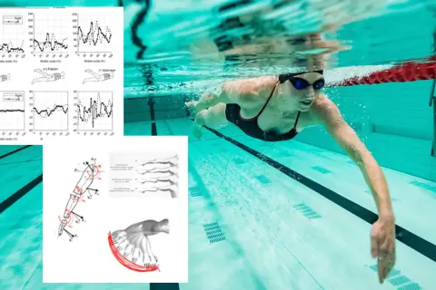 Underwater swimmer in a pool, with graphs showing how many swim strokes are there.