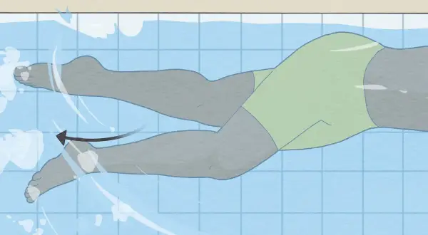 Illustration of a swimmer's legs demonstrating the freestyle kick technique. The legs are in a flutter motion, propelling the swimmer forward.