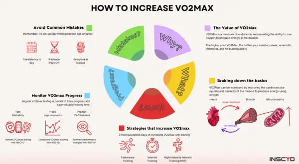 Infographic on how to increase VO2 max, covering common mistakes, progress monitoring, and strategies like HIIT.