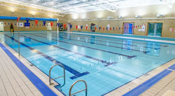An empty indoor swimming pool with lanes marked, ready for an adult swim school class.