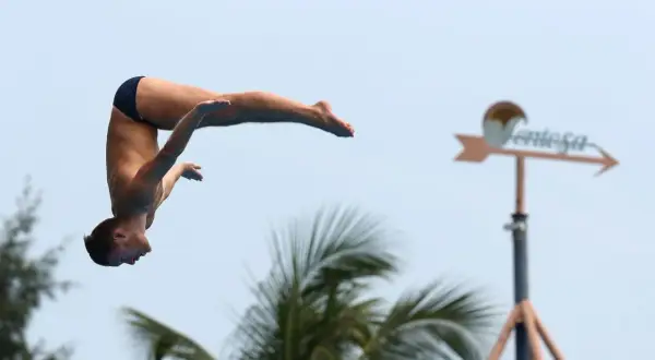 A diver plummets through the air, showcasing how high is a high dive. Palm trees and a weather vane are visible in the background.