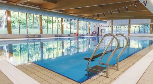 Indoor swimming pool with large windows overlooking trees. Considering private swim lessons cost? This serene setting offers a peaceful learning environment.