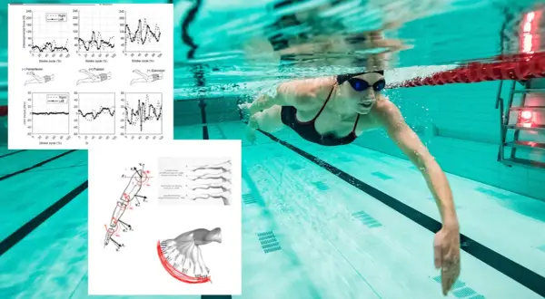 Underwater swimmer in a pool, with graphs showing how many swim strokes are there.