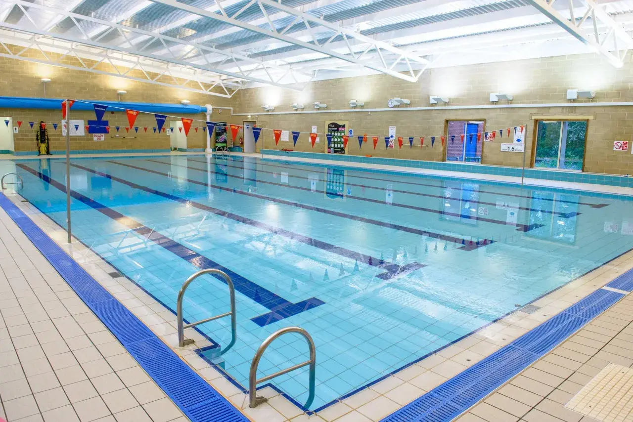 An empty indoor swimming pool with lanes marked, ready for an adult swim school class.