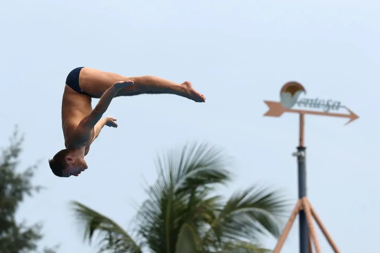A diver plummets through the air, showcasing how high is a high dive. Palm trees and a weather vane are visible in the background.