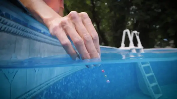 A hand dips a test strip into a pool, checking if chlorine kills fungus and other contaminants.