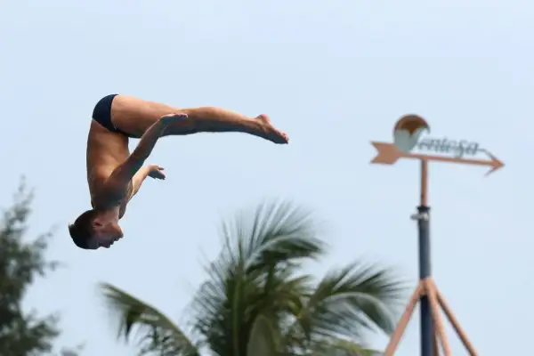A diver plummets through the air, showcasing how high is a high dive. Palm trees and a weather vane are visible in the background.