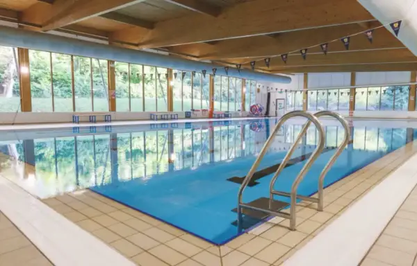 Indoor swimming pool with large windows overlooking trees. Considering private swim lessons cost? This serene setting offers a peaceful learning environment.